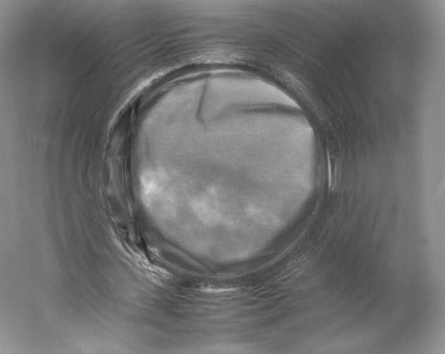 X0000059230531200511111551