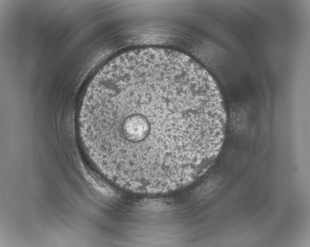 X0000059230534200511111551