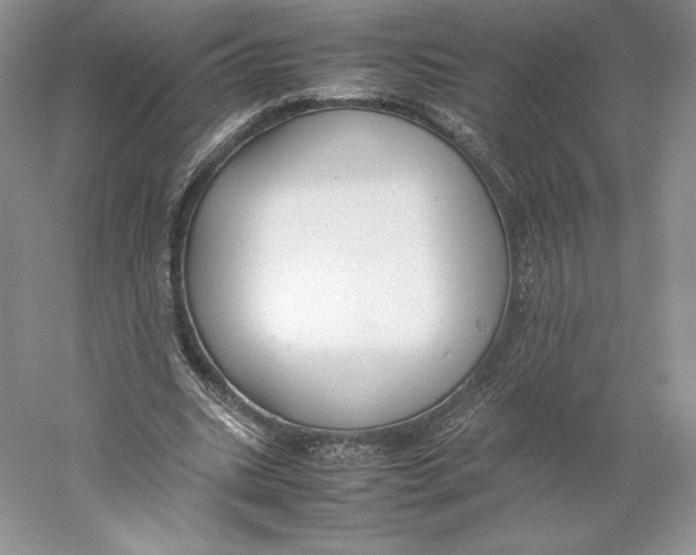 X0000059230535200511111551