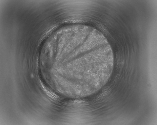 X0000059230542200511111551