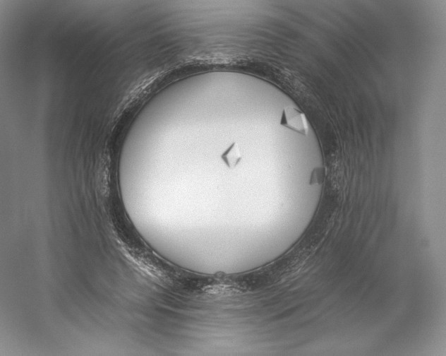 X0000059230544200511111551