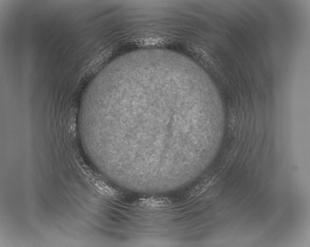 X0000059230545200511111551