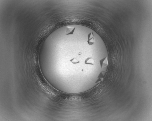 X0000059230546200511111551