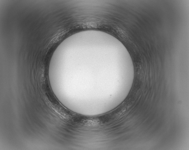 X0000059230548200511111551