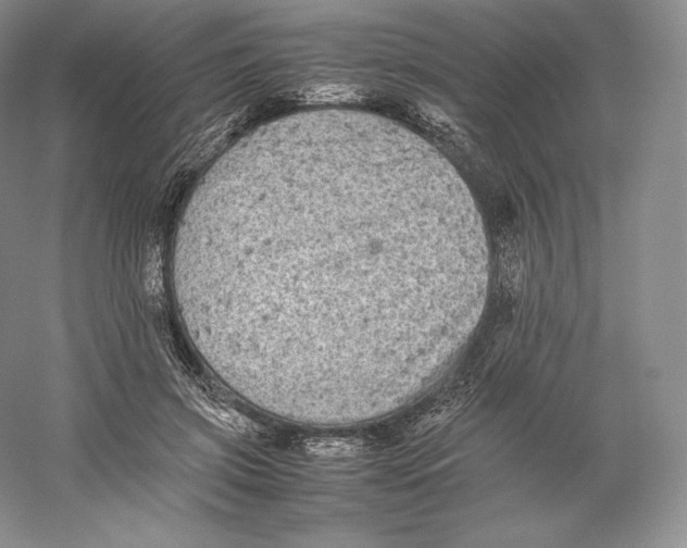 X0000059230549200511111551