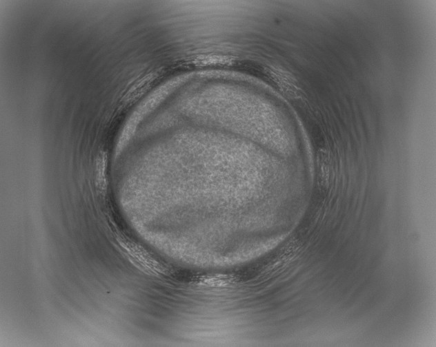 X0000059230550200511111551