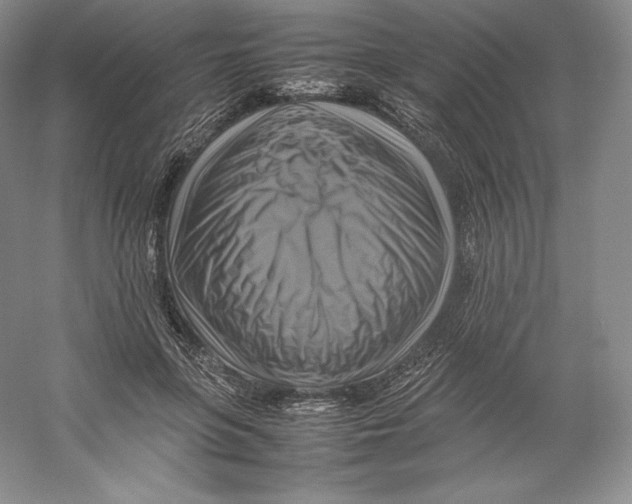 X0000059230551200511111551