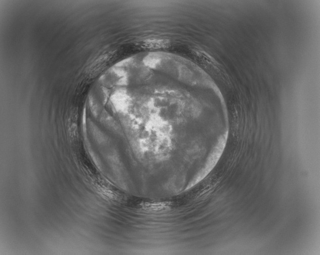 X0000059230553200511111551