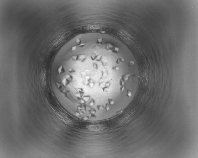 X0000059230556200511111551