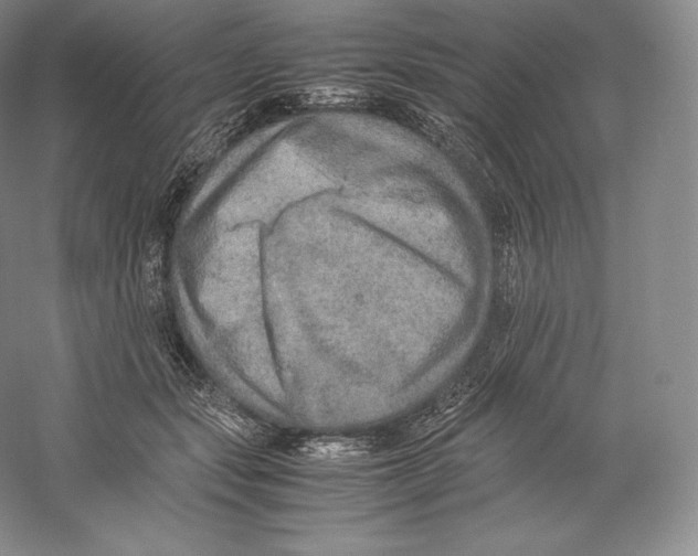 X0000059230557200511111551