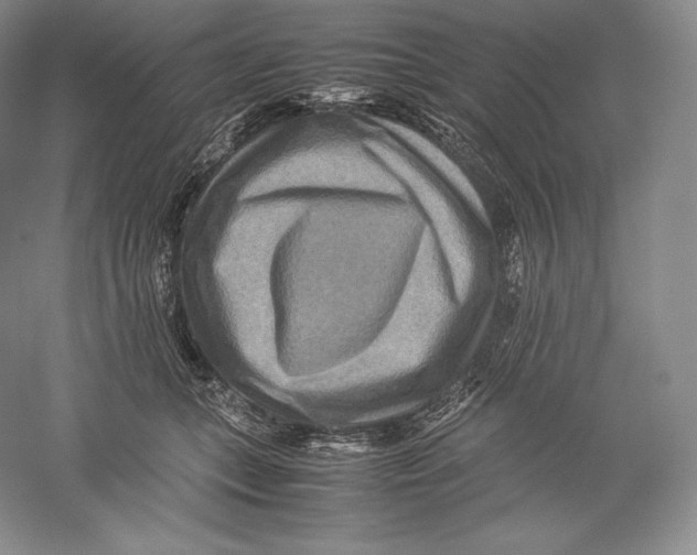 X0000059230559200511111551