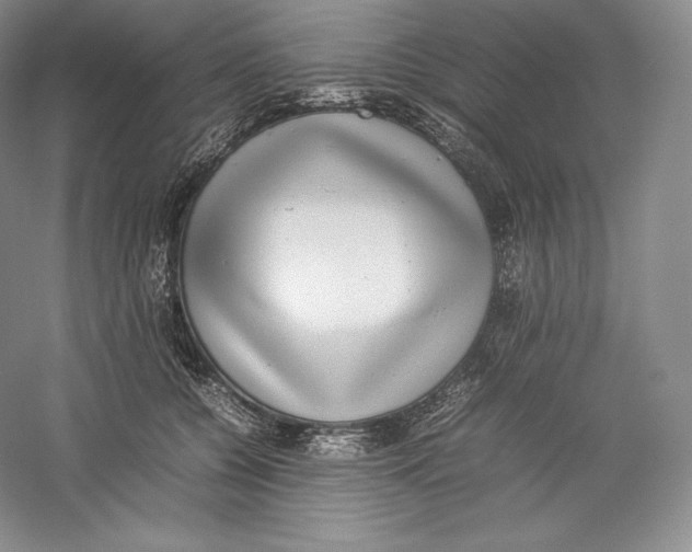 X0000059230560200511111551