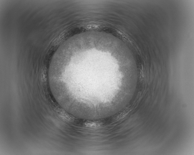 X0000059230561200511111551