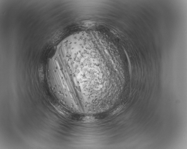 X0000059230562200511111551