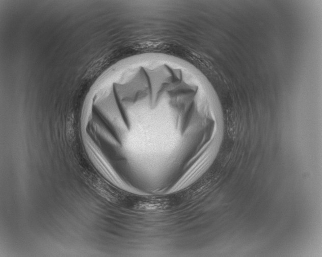 X0000059230563200511111551