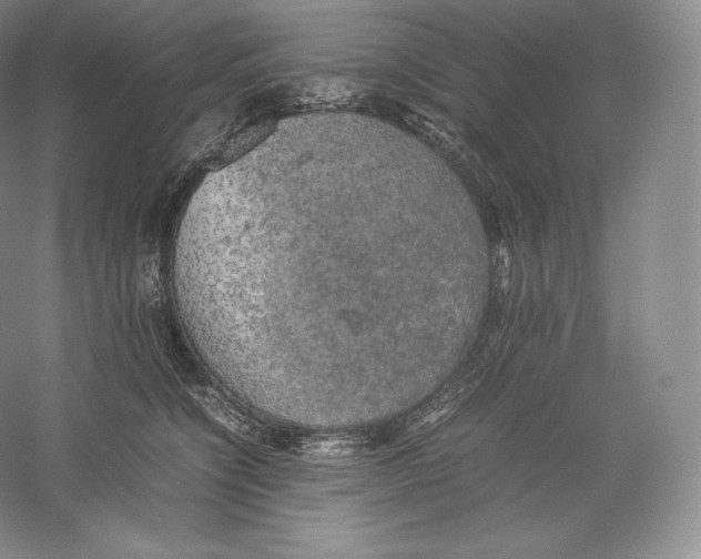 X0000059230564200511111551