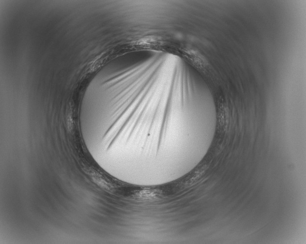 X0000059230566200511111551