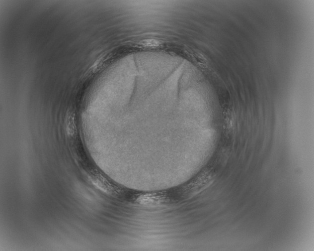 X0000059230568200511111551