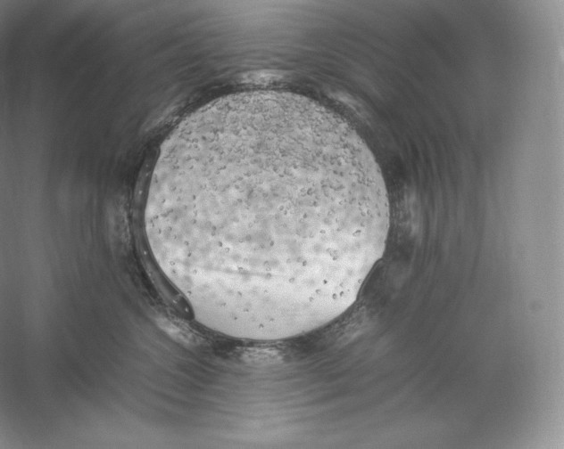 X0000059230572200511111551