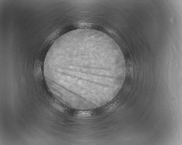 X0000059230573200511111551