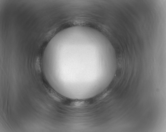 X0000059230575200511111551