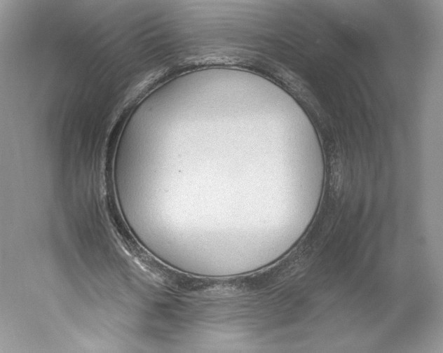 X0000059230578200511111551