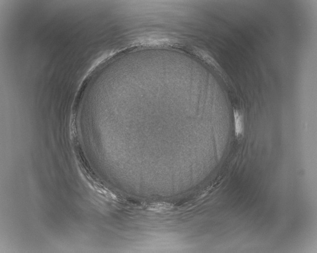 X0000059230579200511111551