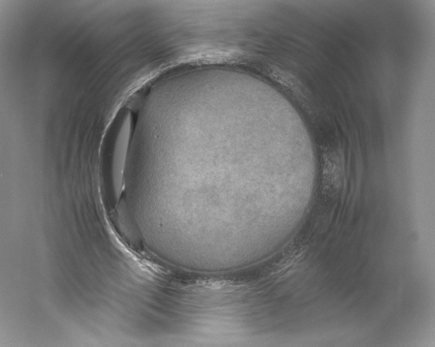 X0000059230582200511111551