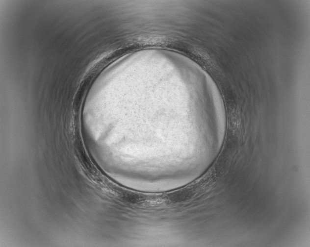 X0000059230583200511111550