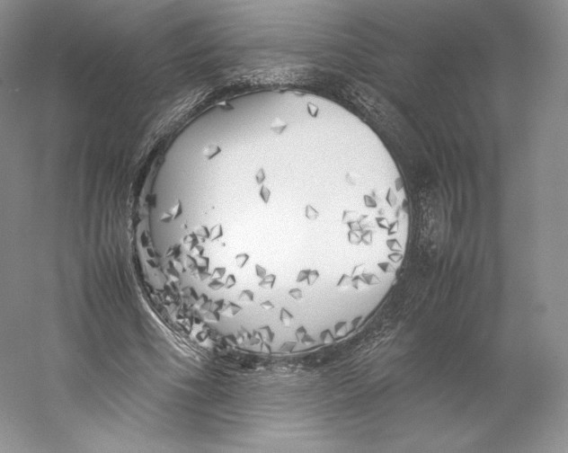 X0000059230586200511111550