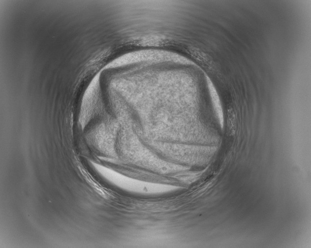 X0000059230589200511111550