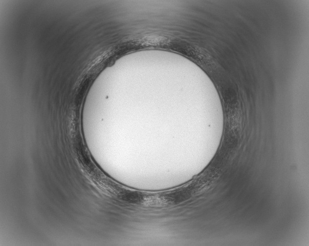 X0000059230591200511111550