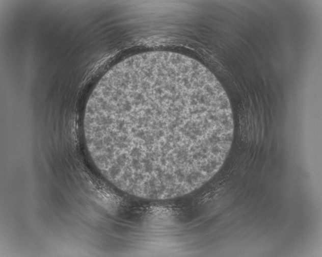 X0000059230592200511111550