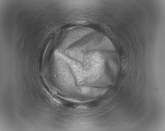 X0000059230593200511111550