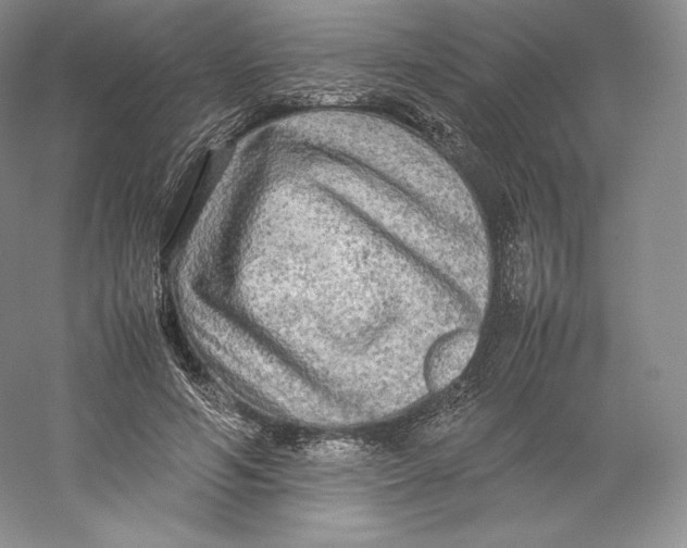 X0000059230594200511111550