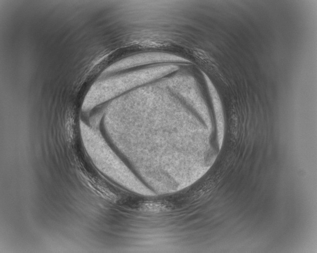 X0000059230596200511111550