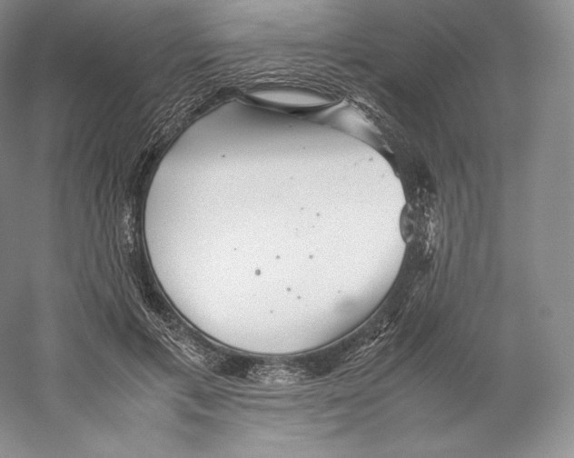 X0000059230597200511111550