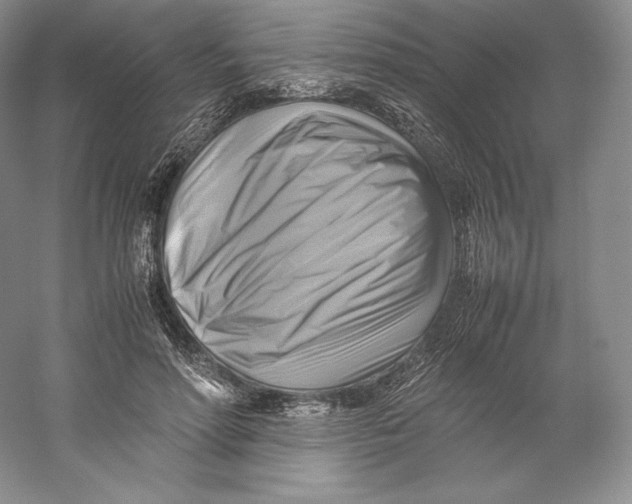 X0000059230598200511111550