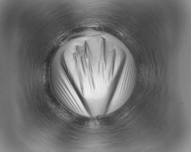 X0000059230600200511111550