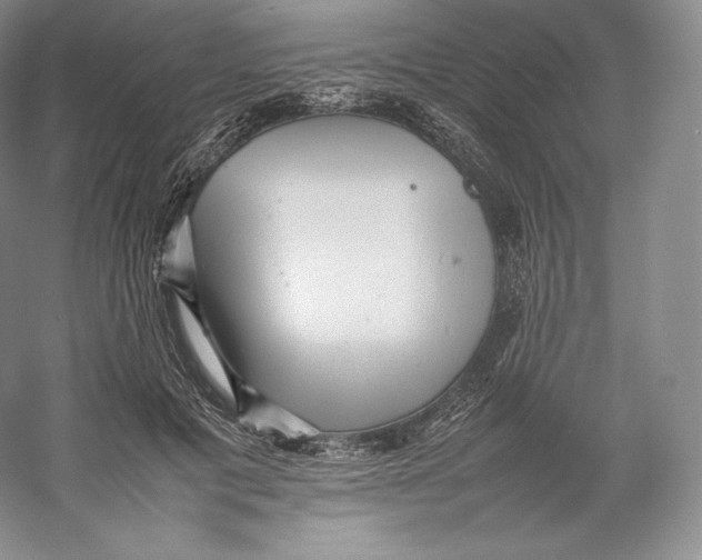 X0000059230601200511111550