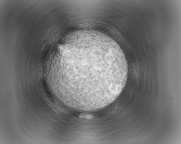 X0000059230602200511111550