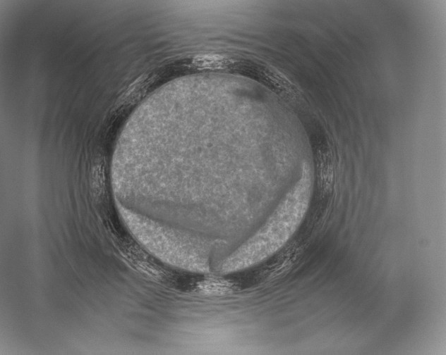 X0000059230603200511111550