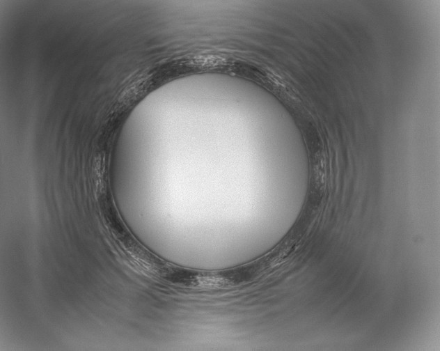 X0000059230605200511111550