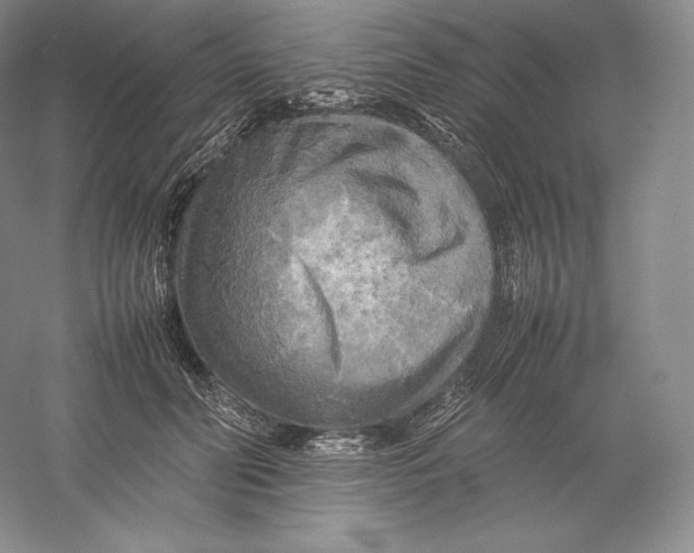 X0000059230606200511111550