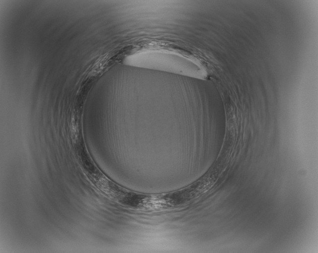 X0000059230607200511111550