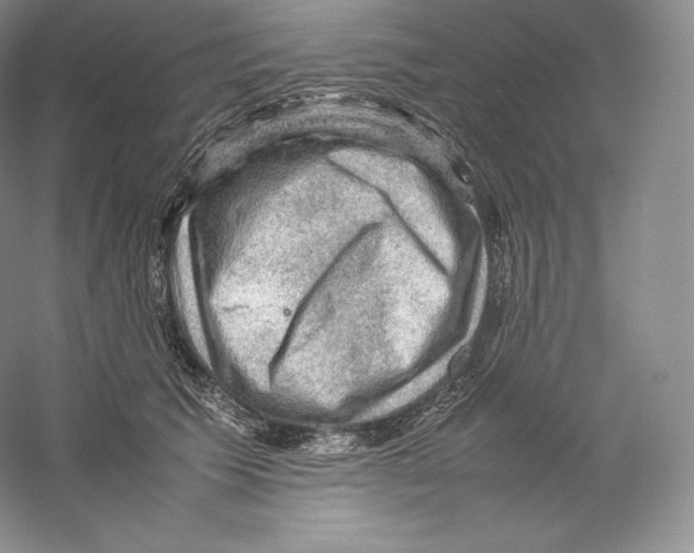 X0000059230609200511111550