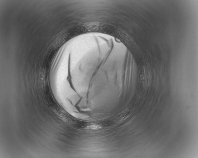 X0000059230610200511111550