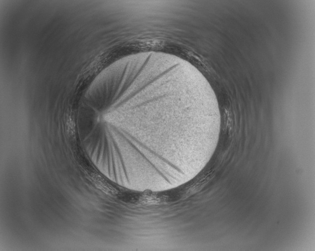 X0000059230613200511111550