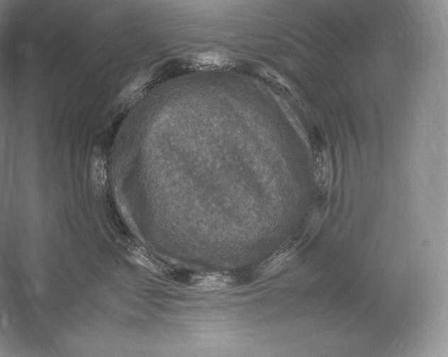 X0000059230621200511111550