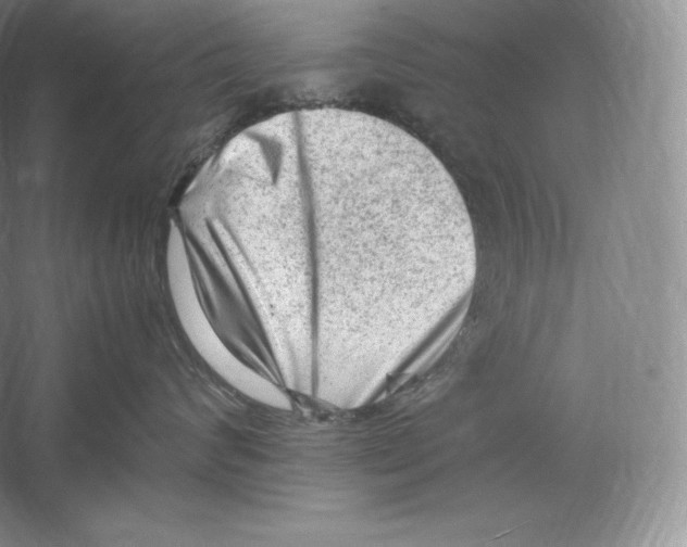 X0000059230624200511111550